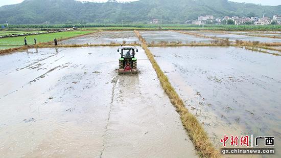 贵港港南区应用粉垄技术 助农增产增收