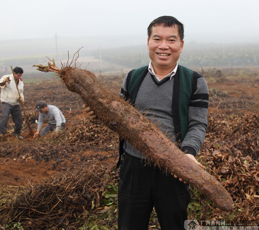 粉垄耕作技术助力中国式农业现代化